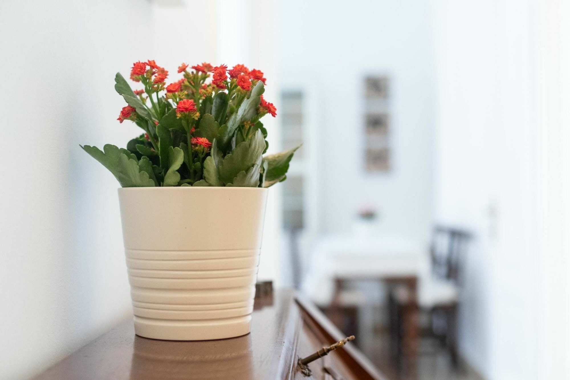 Apartment With One Bedroom In Roma, With Wifi *